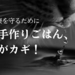 水飲んでる猫