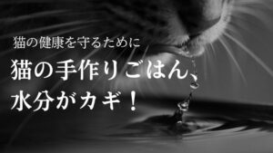水飲んでる猫